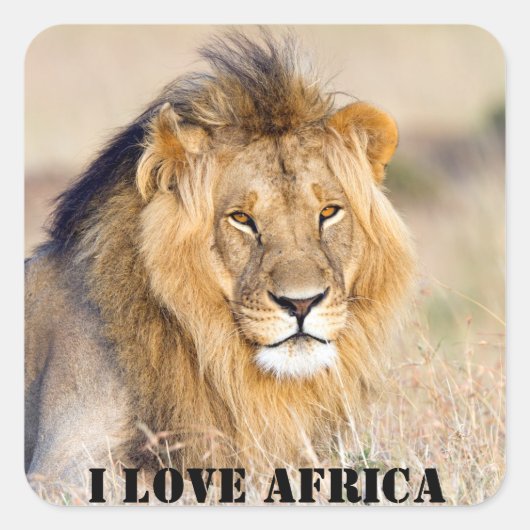 Ik hou van de foto van Africa Majestic Vierkante Sticker (Voorkant)
