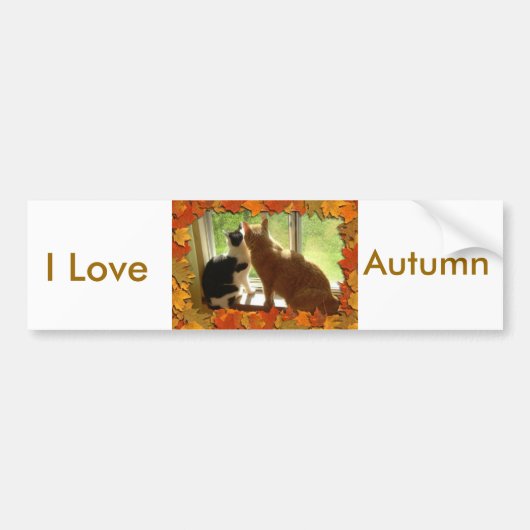 Ik hou van de herfst bumpersticker (Voorkant)