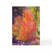 Ik hou van de Herfst Kaart