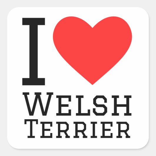 Ik hou van de Welsh Terrier Vierkante Sticker (Voorkant)