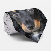 Ik hou van Dogs Dachshund Stropdas (Opgerold)