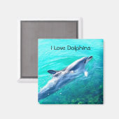 Ik hou van Dolphins Magnet (Voorkant / Achterkant)