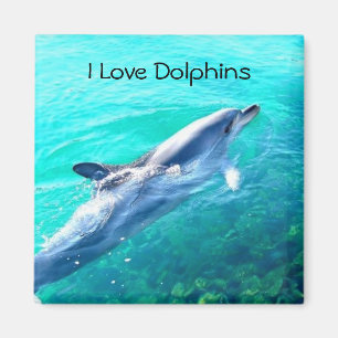 Ik hou van Dolphins Magnet