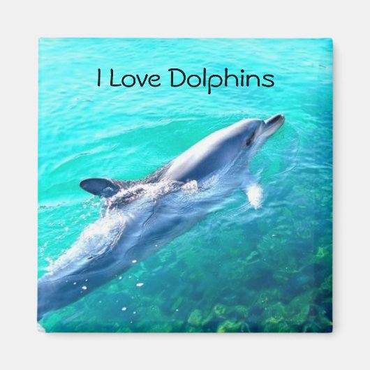 Ik hou van Dolphins Magnet (Voorkant)