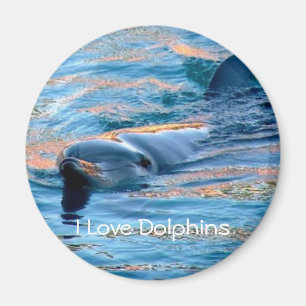 Ik hou van Dolphins Magnet