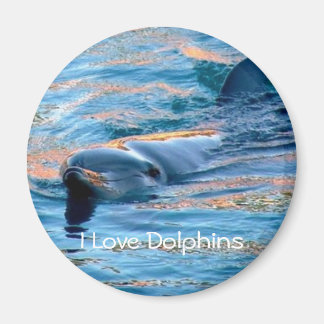 Ik hou van Dolphins Magnet