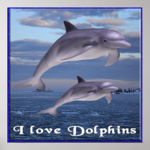Ik hou van Dolphins poster