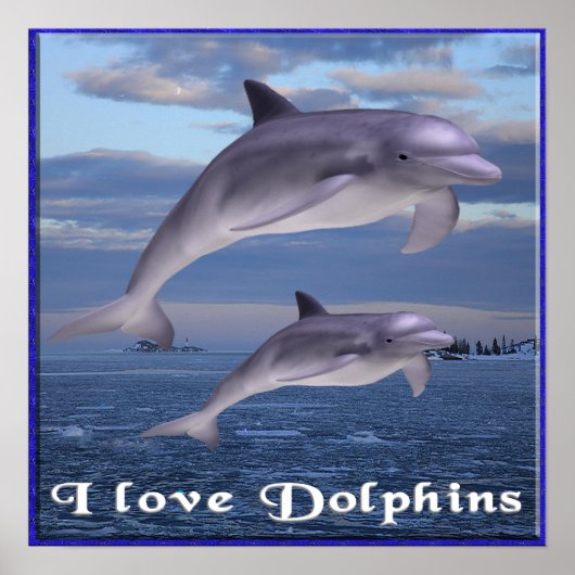 Ik hou van Dolphins poster (Voorkant)