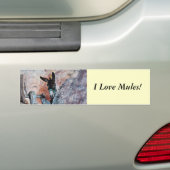 Ik hou van Donkeys! Bumpersticker (Op auto)