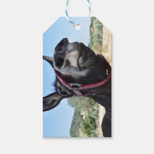 Ik hou van Donkeys! Cadeaulabel (Voorkant)