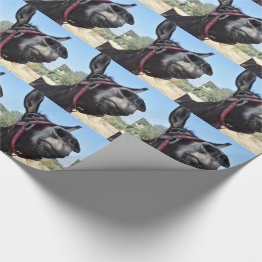 Ik hou van Donkeys! Cadeaupapier (Hoek)