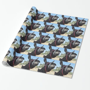 Ik hou van Donkeys! Cadeaupapier