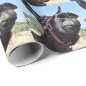 Ik hou van Donkeys! Cadeaupapier (Rol Hoek)