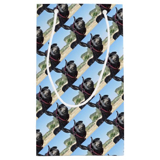 Ik hou van Donkeys! Klein Cadeauzakje (Achterkant)