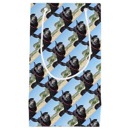 Ik hou van Donkeys! Klein Cadeauzakje (Voorkant)