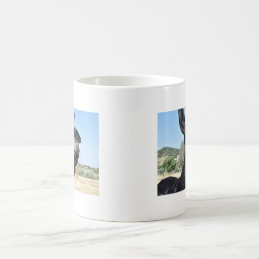 Ik hou van Donkeys! Koffiemok (Center)