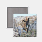 Ik hou van Donkeys! Magneet (Voorkant / Achterkant)