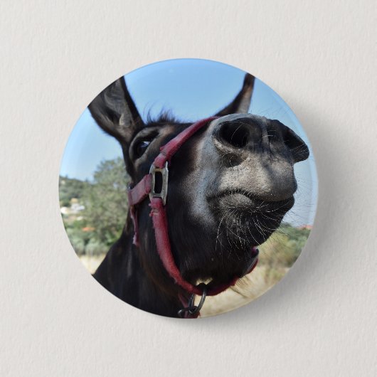 Ik hou van Donkeys! Ronde Button 5,7 Cm (Voorkant)