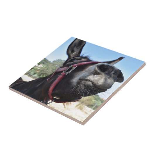 Ik hou van Donkeys! Tegeltje (Zijkant)