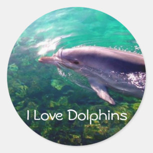 Ik hou van Dophins Sticker
