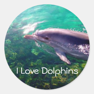 Ik hou van Dophins Sticker