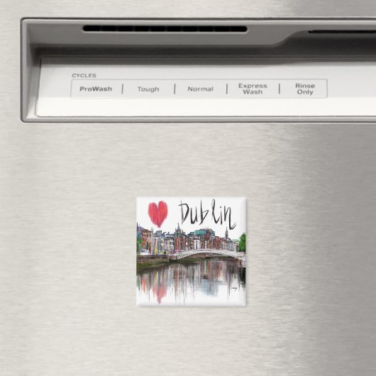 Ik hou van Dublin Magneet (Insitu (Vaatwasser))