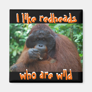 Ik hou van echte wilde roodkoppen magneet