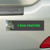 Ik hou van eekhoorns bumpersticker (Op auto)