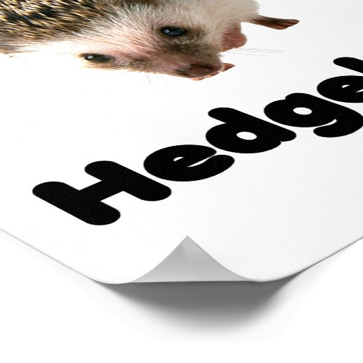 Ik hou van egel poster (Hoek)