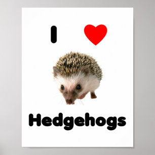 Ik hou van egel poster