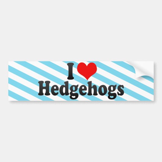 Ik hou van egels bumpersticker (Voorkant)