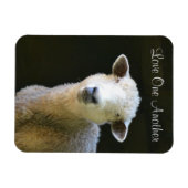 Ik hou van elkaar Schaap Magneet (Horizontaal)
