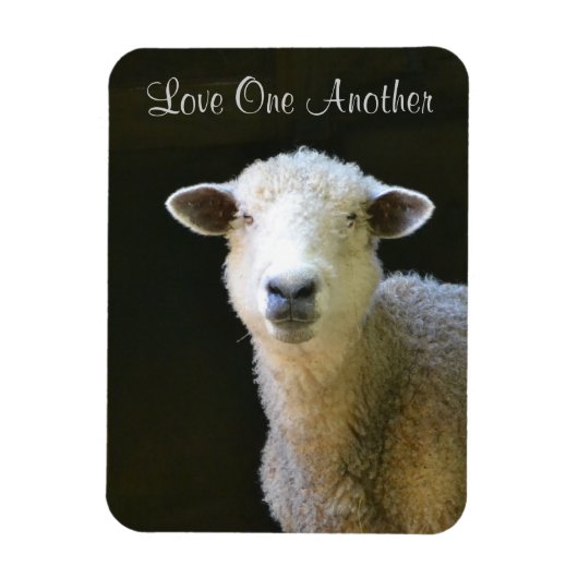Ik hou van elkaar Schaap Magneet (Verticaal)