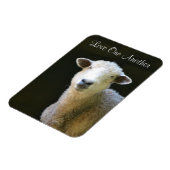 Ik hou van elkaar Schaap Magneet (Linkerzijde)