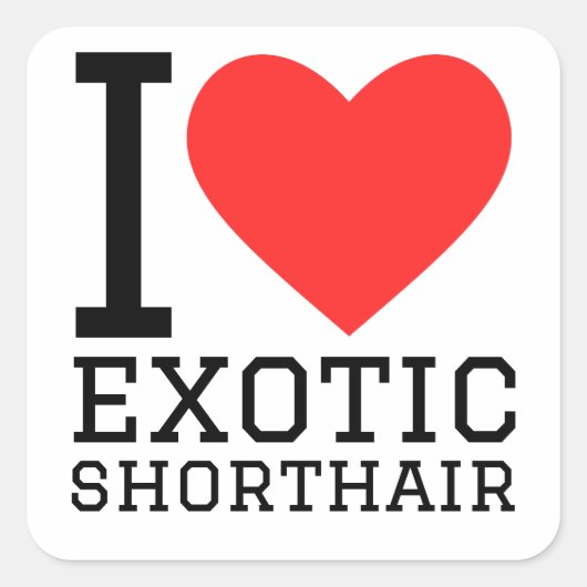 Ik hou van exotische korthaar vierkante sticker (Voorkant)