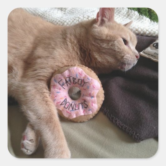 Ik hou van Fatboy's Donuts! Vierkante Sticker (Voorkant)