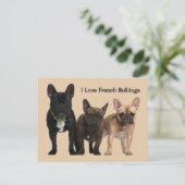 Ik hou van Franse Bulldogs Briefkaart (Staand voorkant)