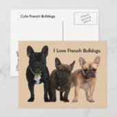 Ik hou van Franse Bulldogs Briefkaart (Voorkant / Achterkant)