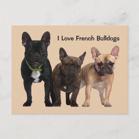 Ik hou van Franse Bulldogs Briefkaart (Voorkant)