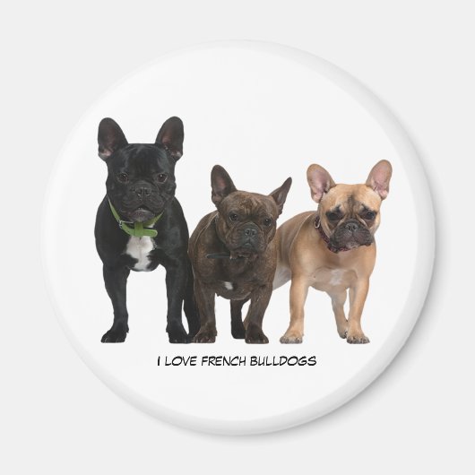 Ik hou van Franse Bulldogs Magneet (Voorkant)
