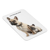 Ik hou van Franse Bulldogs Magneet (Rechterzijde)