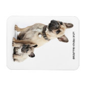 Ik hou van Franse Bulldogs Magneet (Horizontaal)