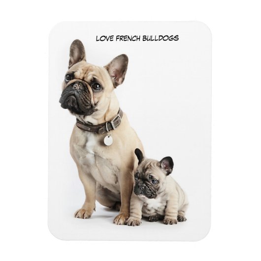 Ik hou van Franse Bulldogs Magneet (Verticaal)