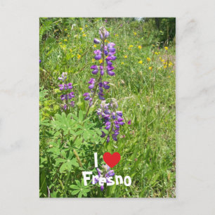 Ik hou van Fresno Briefkaart