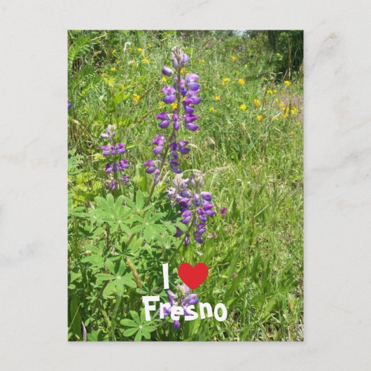 Ik hou van Fresno Briefkaart (Voorkant)