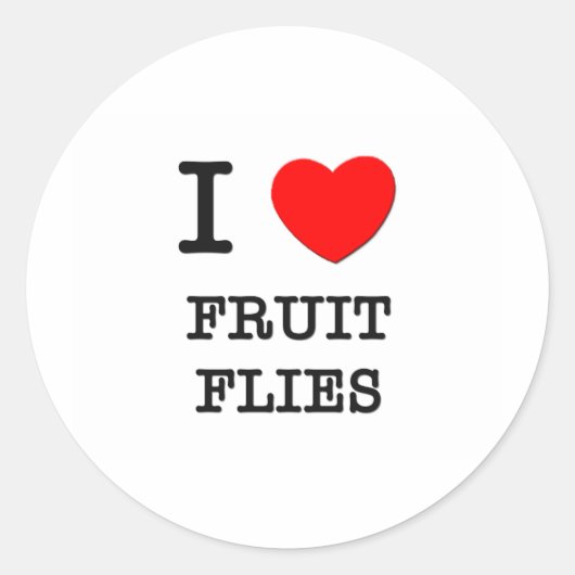 Ik hou van fruitvliegen ronde sticker (Voorkant)