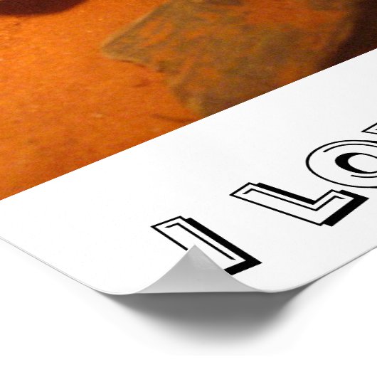 Ik hou van gedekte Dragons! Poster (Hoek)