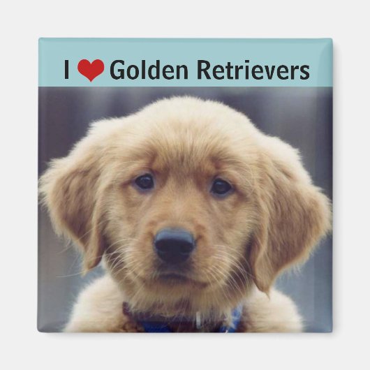 Ik hou van Golden Retrievers Cute Puppy Magneet (Voorkant)