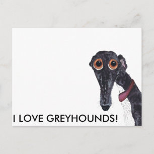 IK HOU VAN GREYHOUNDS! BRIEFKAART