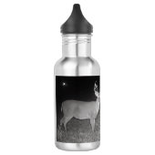 Ik hou van grote dollars en ik kan geen waterfles  (Links)